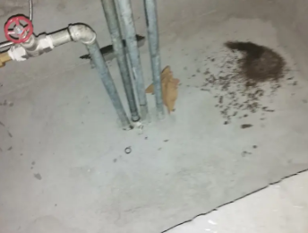 韶关卫生间测漏水价格明细